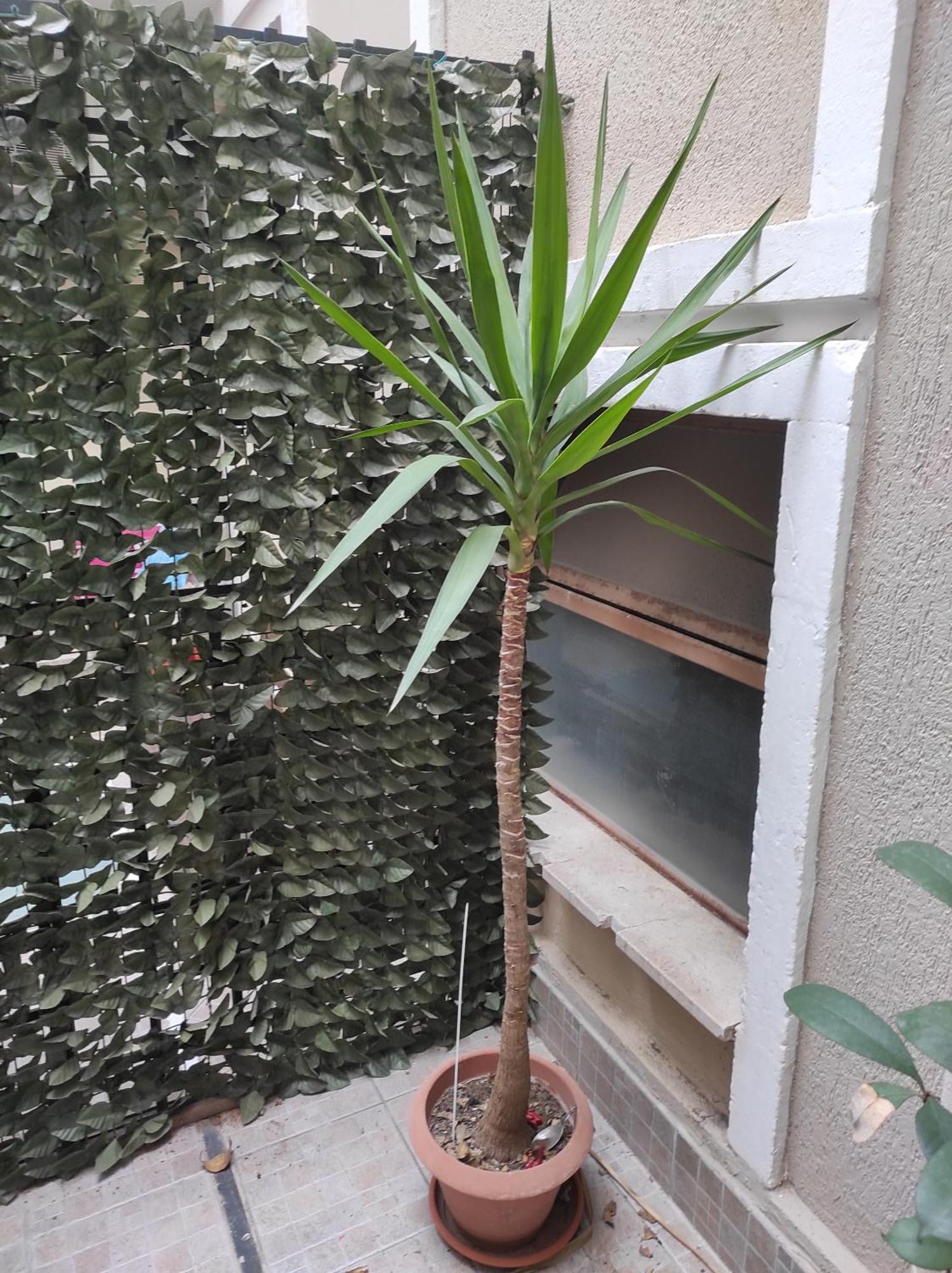 Casa Bacchilide Apartamento Syracuse